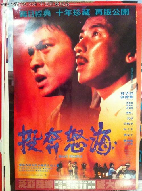 仿制假爱尔兰护照模板